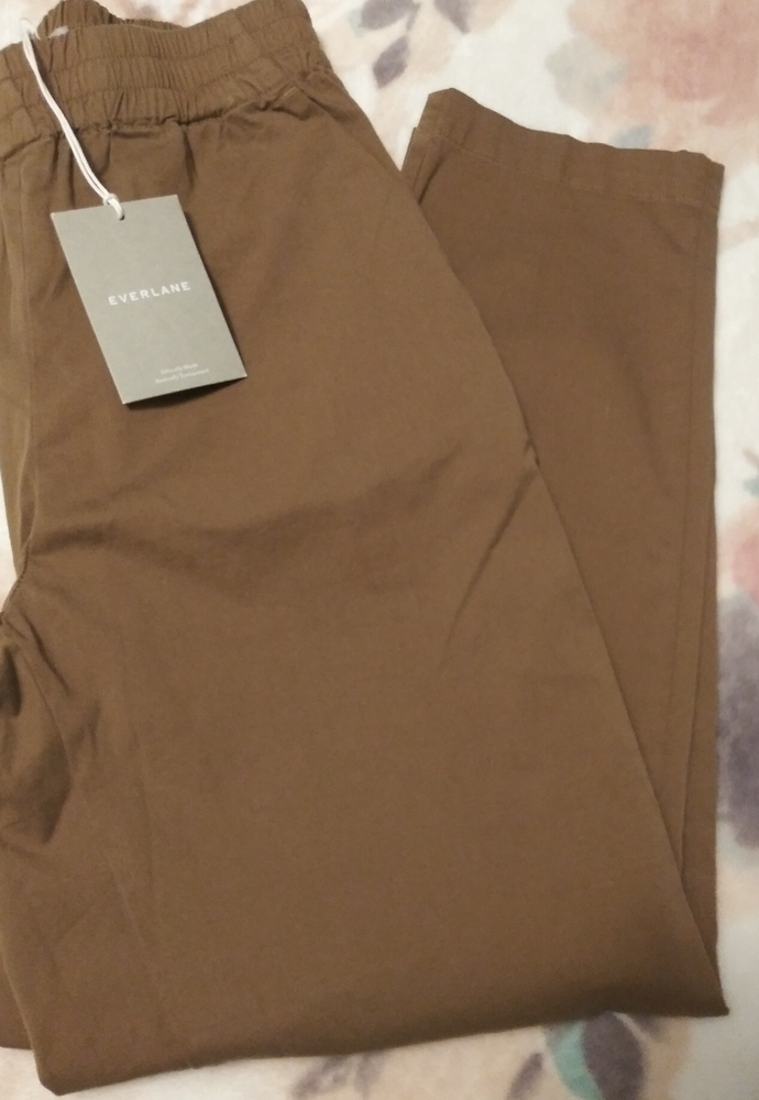 Everlane The Easy Chino 4 NWT